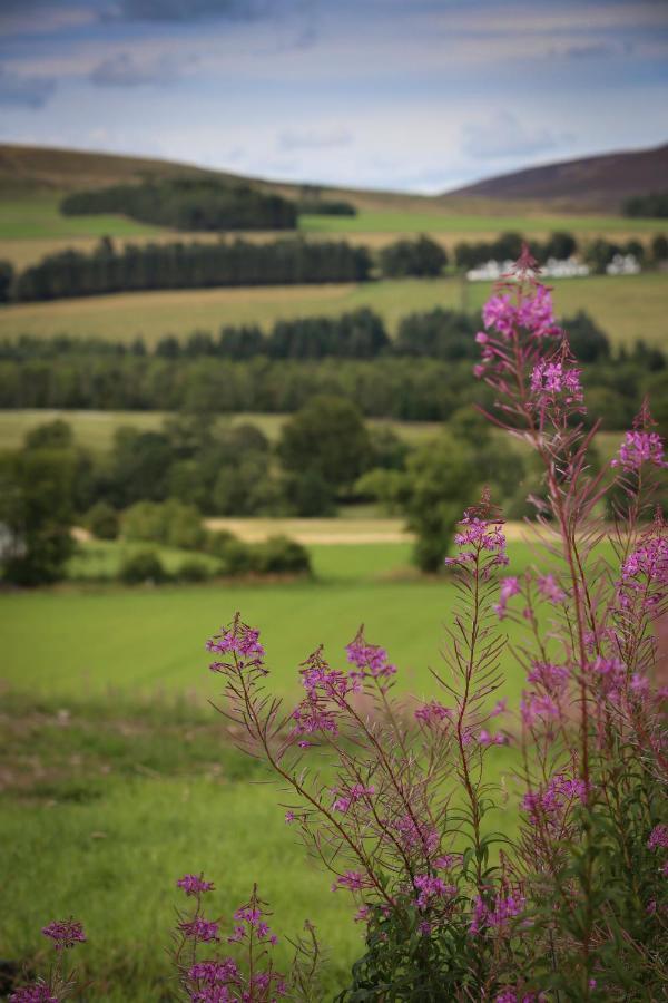 Clova Pod, Kilry Eco Pods Hotel Blairgowrie and Rattray Exterior photo